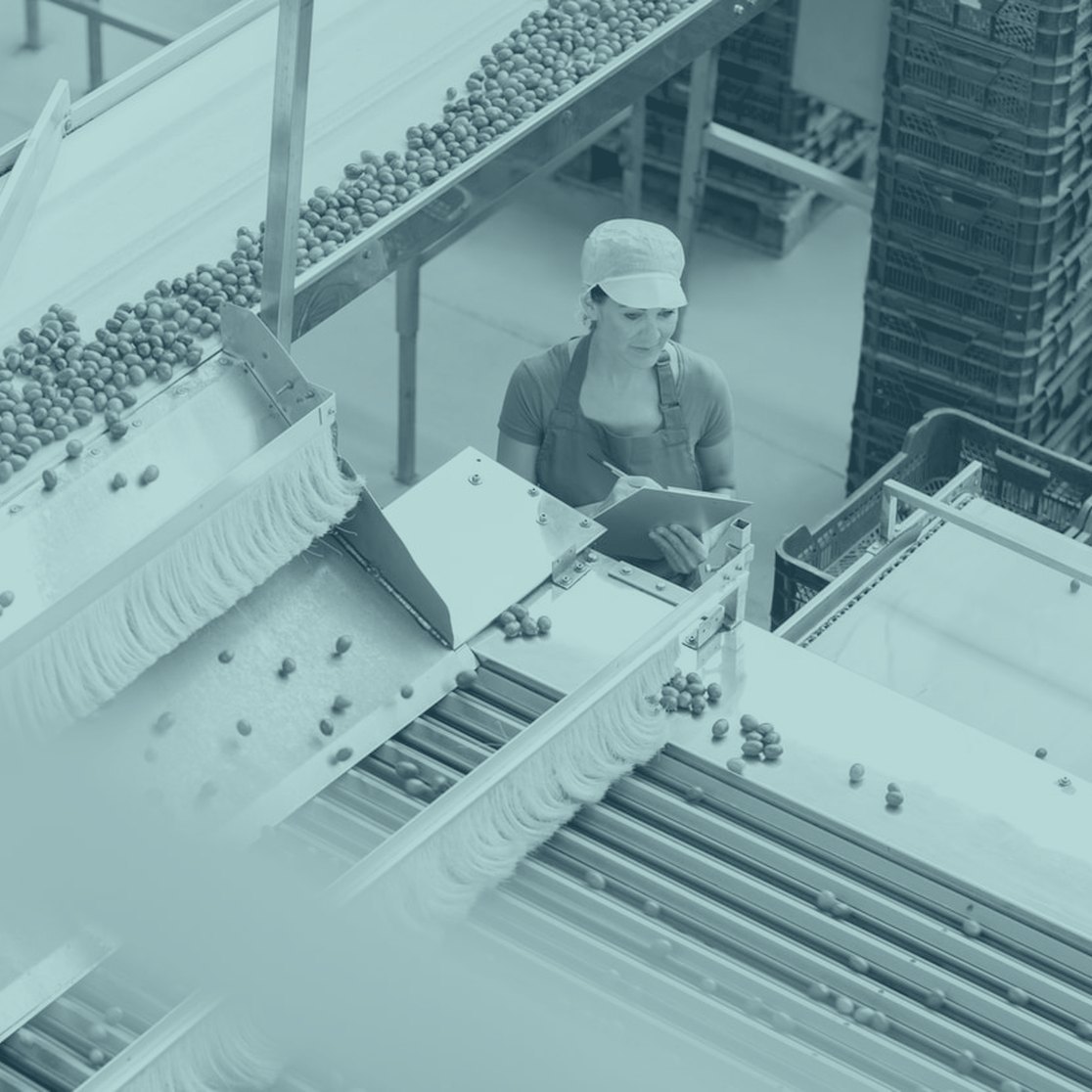 A food production line with a worker checking quality