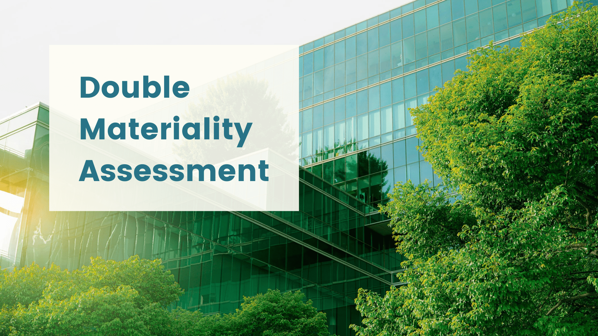 Double Materiality Assessment Comprehensive Guide